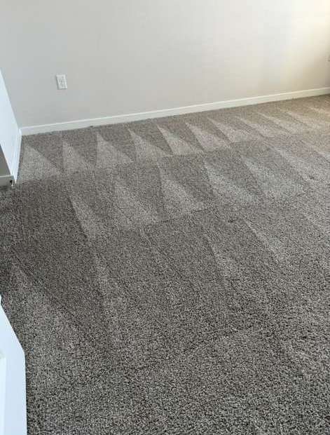 Freshly vacuumed carpet with perfect lines
